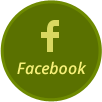 Görece Zeytinyağı Facebook